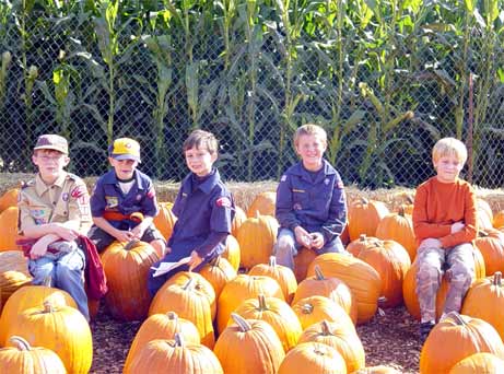 Corn Maze